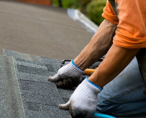 Best Gutter Installation and Roofing  in Oakland, TN